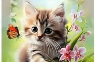 Paint by Numbers Kit — Kittens and Butterflies