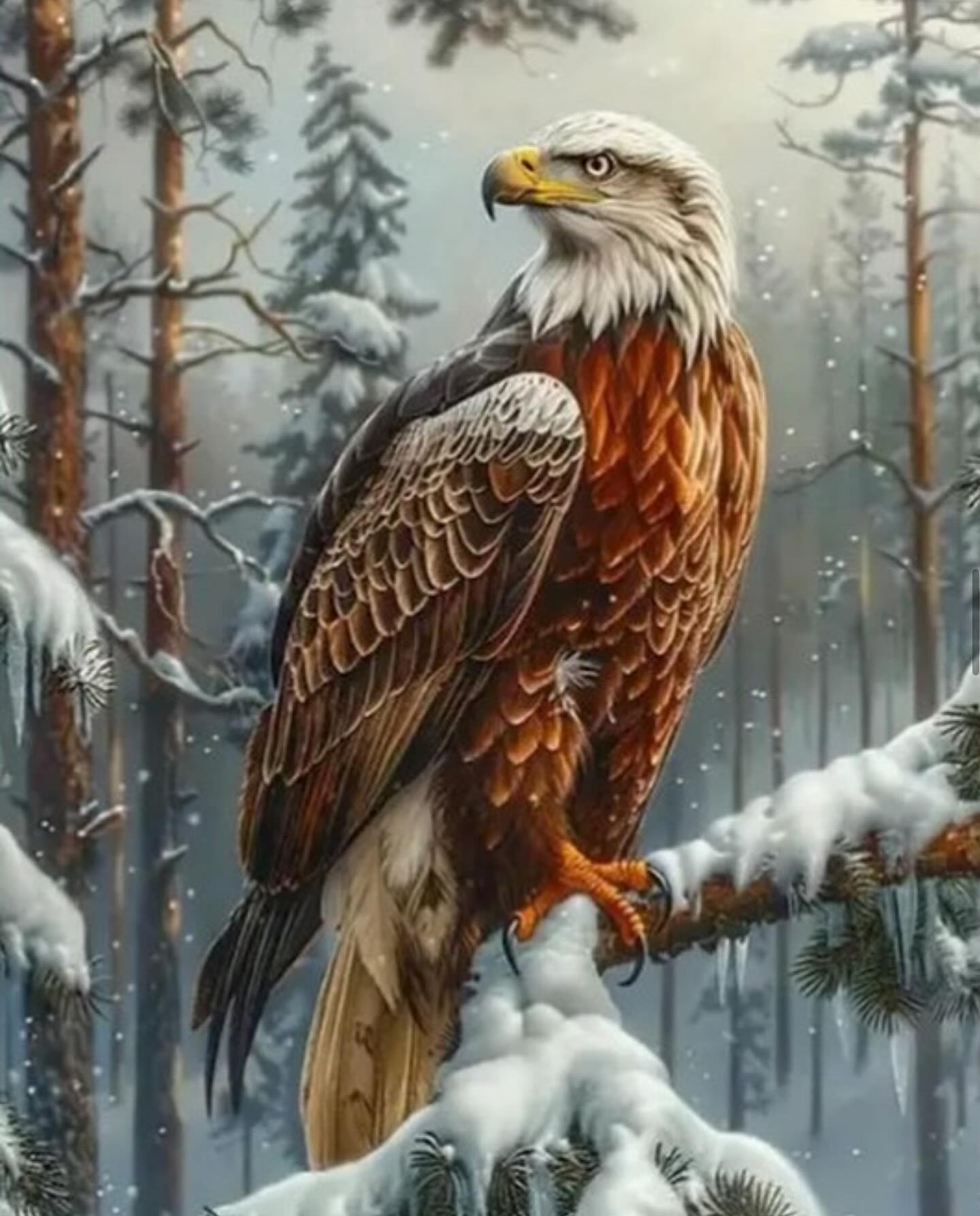 Paint by Numbers Kit — Bald Eagle in Snowy Forest