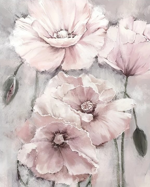 Paint by Numbers Kit — Soft Pink Poppies