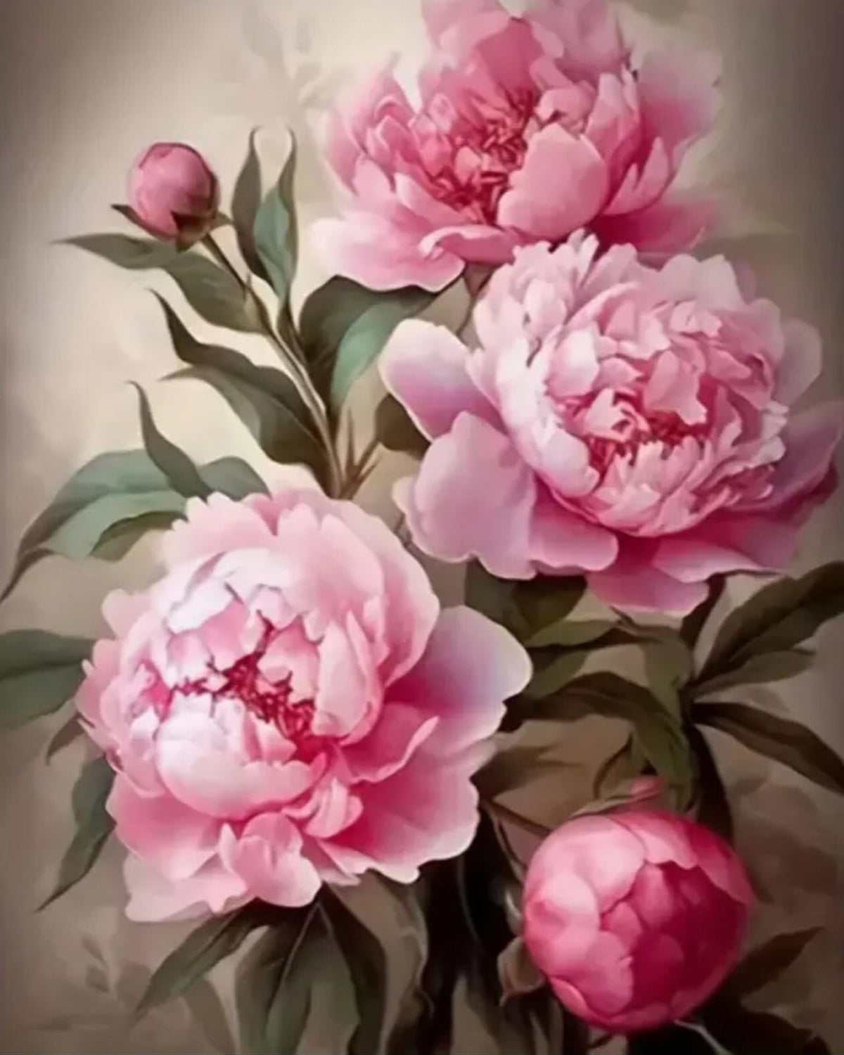 Peonies in Pink