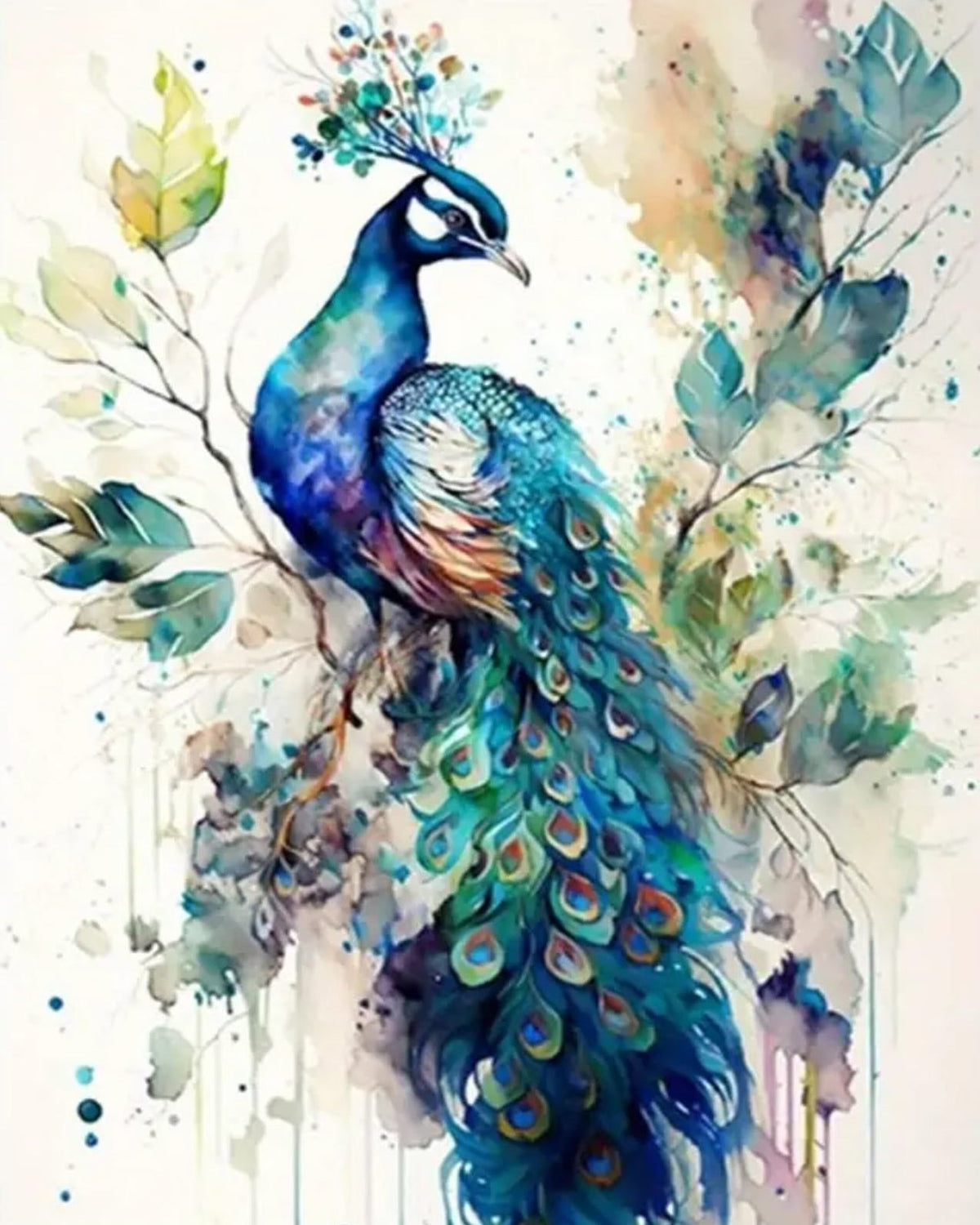 Watercolor Peacock, framed paint-by-numbers canvas