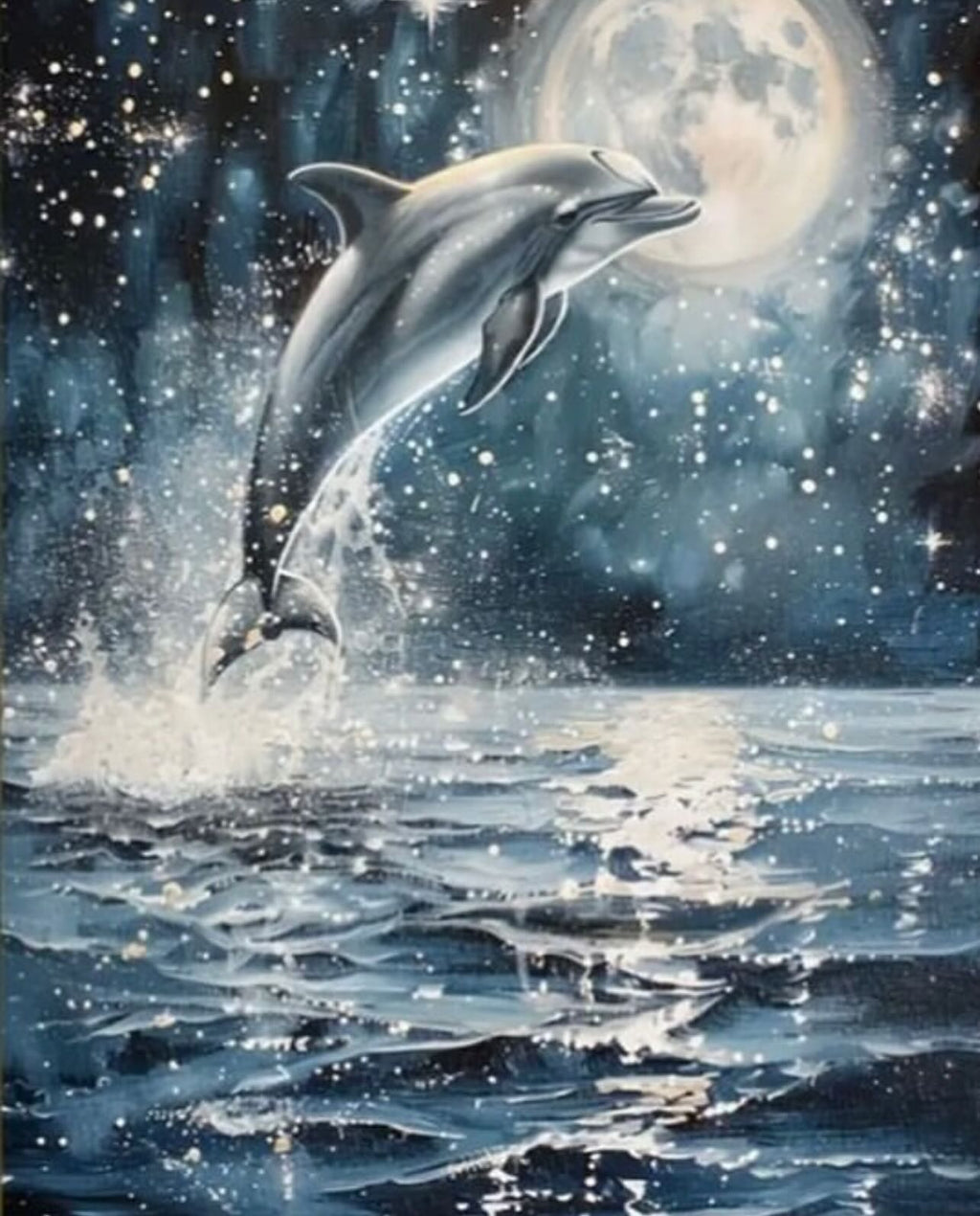 Paint by Numbers Kit — Dolphins and Rainbow