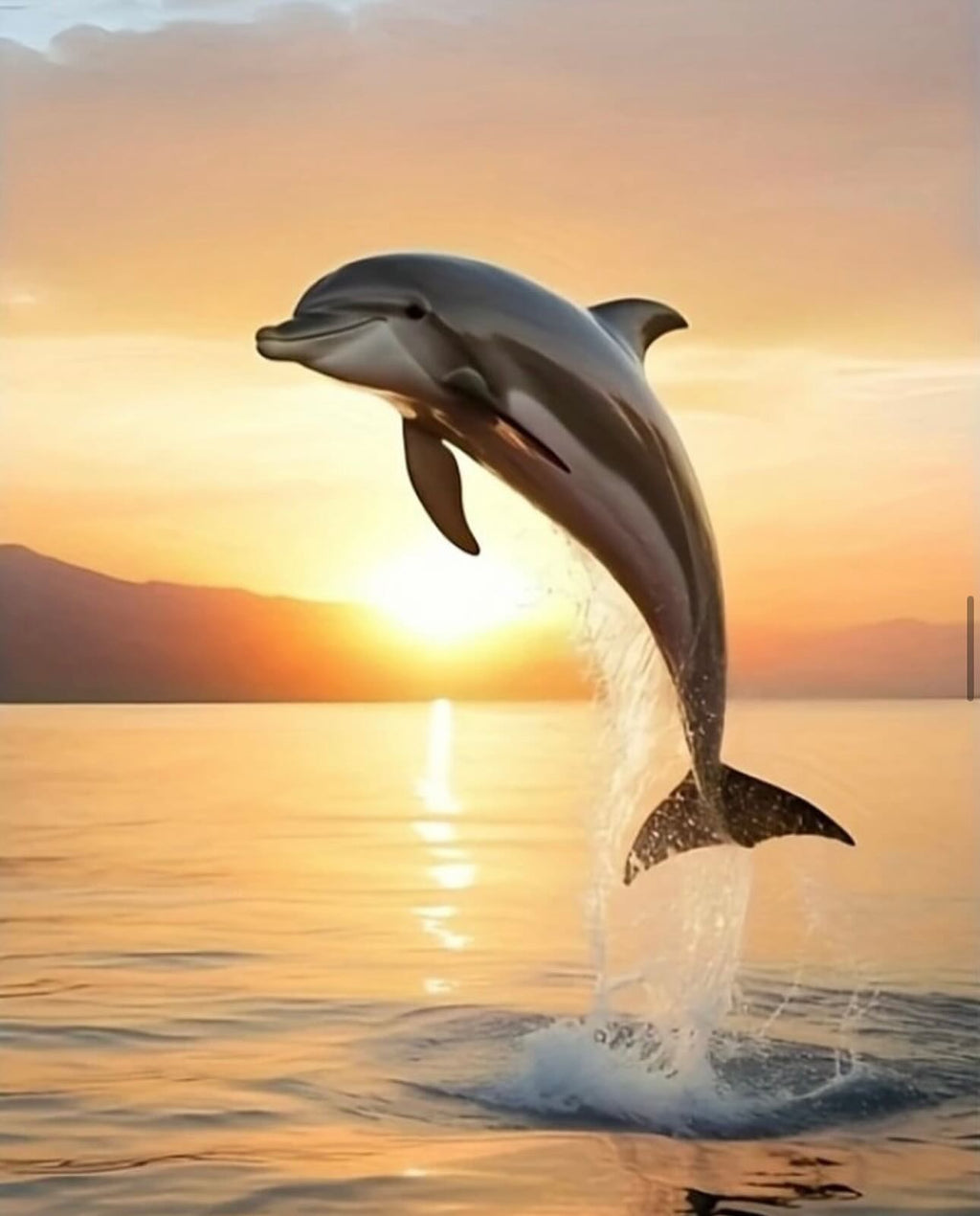 Paint by Numbers Kit — Dolphins and Rainbow