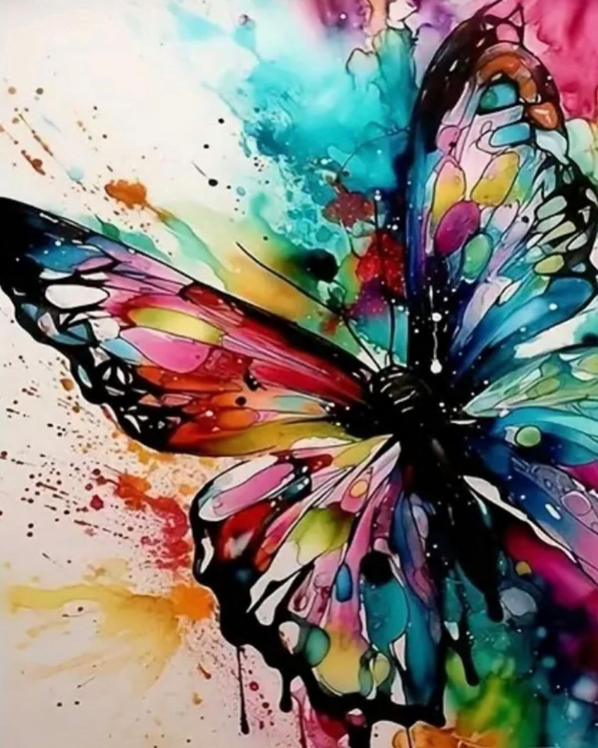 Watercolor Splash Butterfly, framed paint-by-numbers canvas