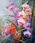 Paint by Numbers Kit — Orchid Bouquet