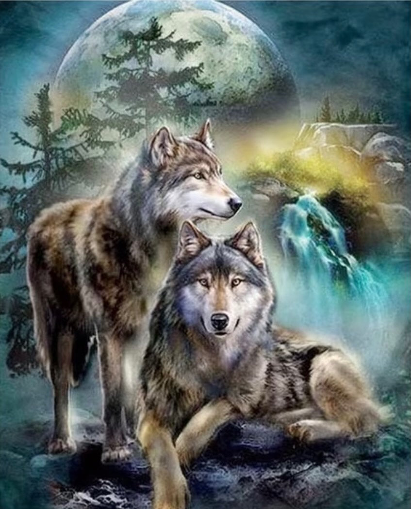 Paint by Numbers Kit — Wolves Under the Moon