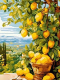 Paint by Numbers Kit — Mediterranean Lemon Grove