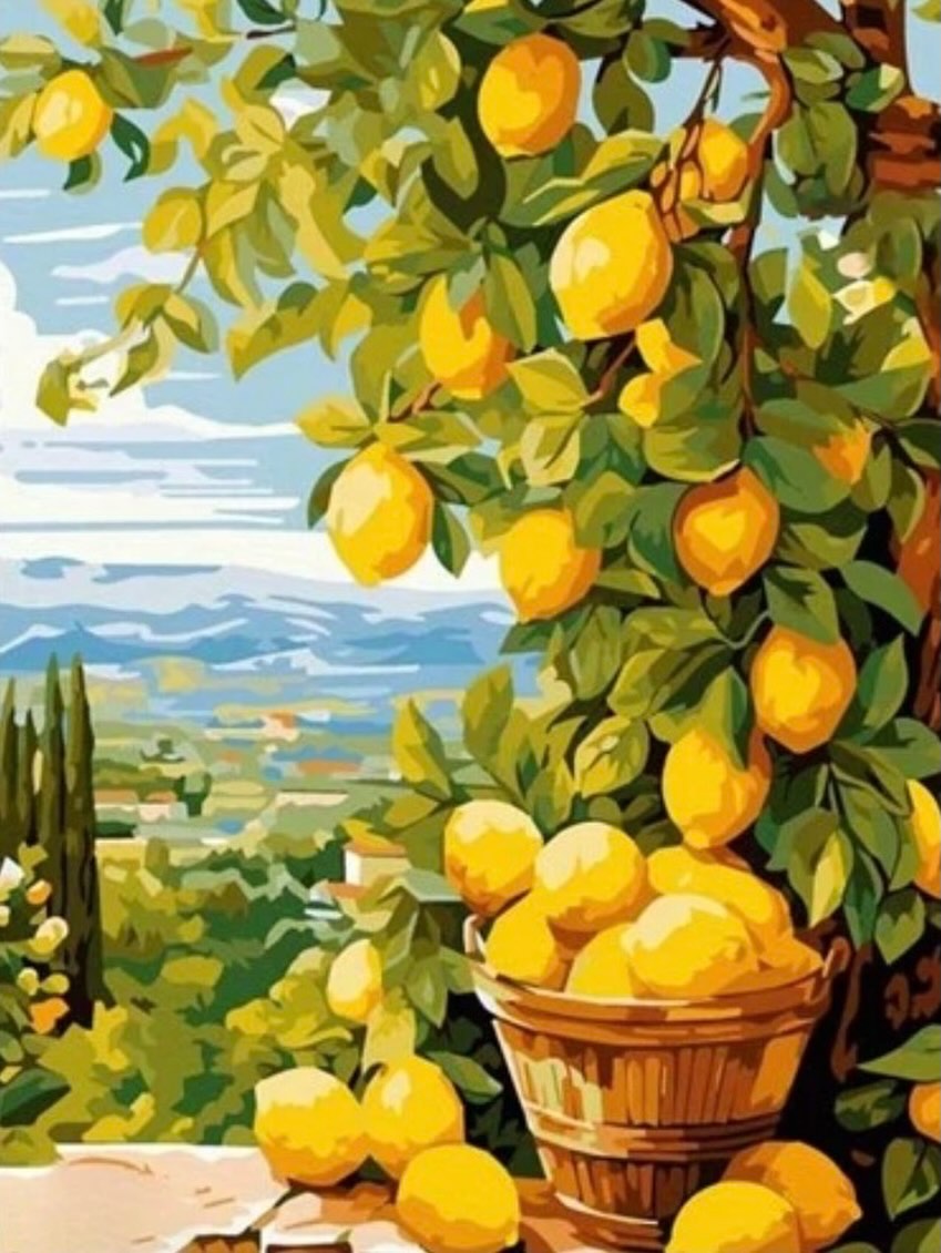 Paint by Numbers Kit — Mediterranean Lemon Grove