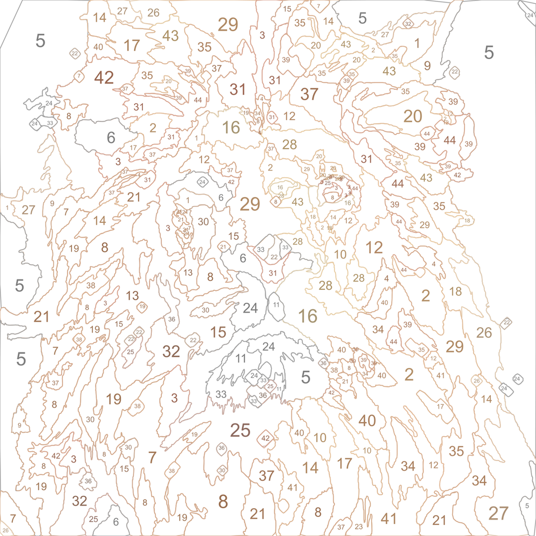 Numbered paint-by-numbers outline of the lion portrait, before painting